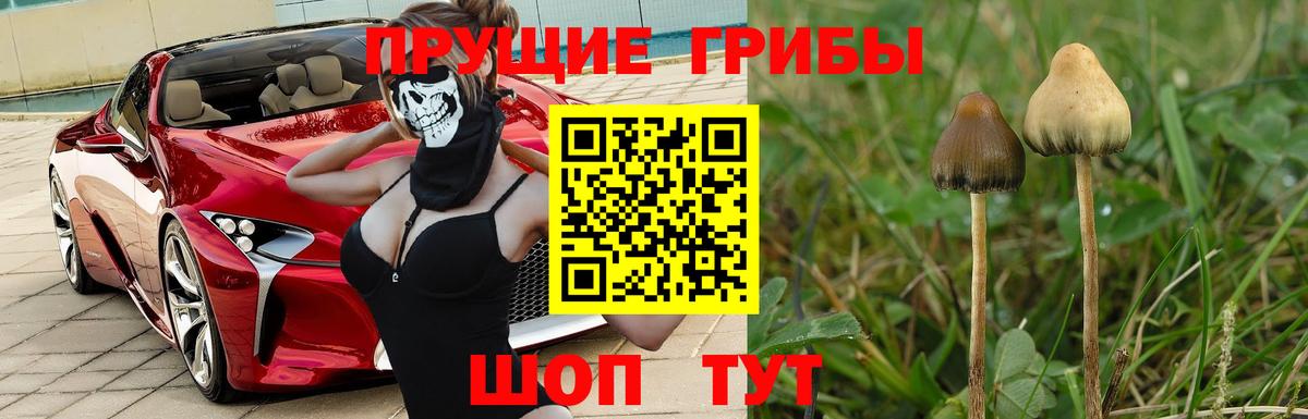 Галлюциногенные грибы ЛСД Кировск