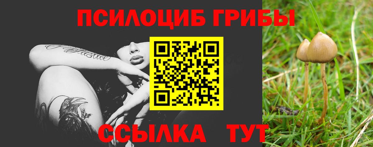 Кировск  Псилоцибиновые грибы MAGIC MUSHROOMS  Галлюциногенные грибы ЛСД  Вход с VPN 